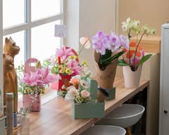 小葫蘆 花藝咖啡廳 Hulu Floral Design