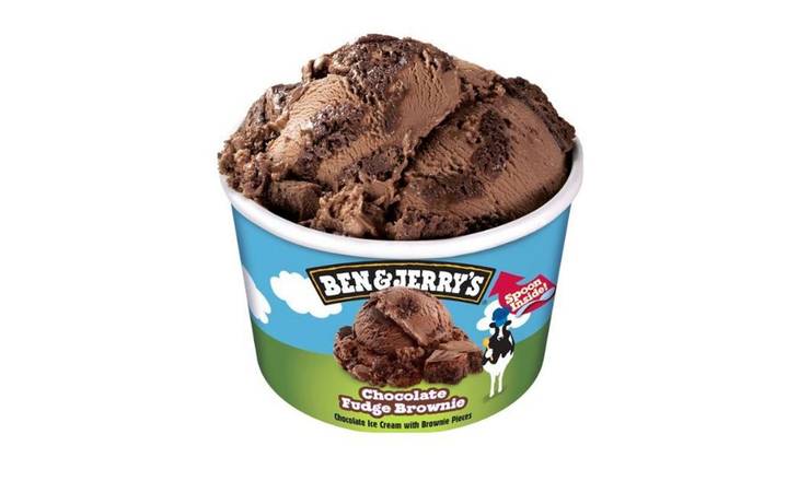 Ben & Jerry's Choc Fudge Brownie 100mL