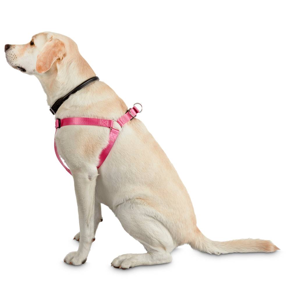 Youly Multiple Colors/Finishes Dog Harness, Extra Large | 3287107