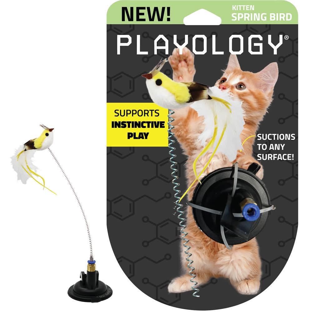 Playology Suction Cup Spring Bird Cat Toy (Color: Multi Color)