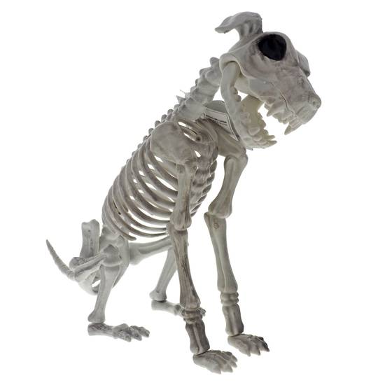 Dollarama Halloween-Large Dog Skeleton Decoration (31.5 cm H)