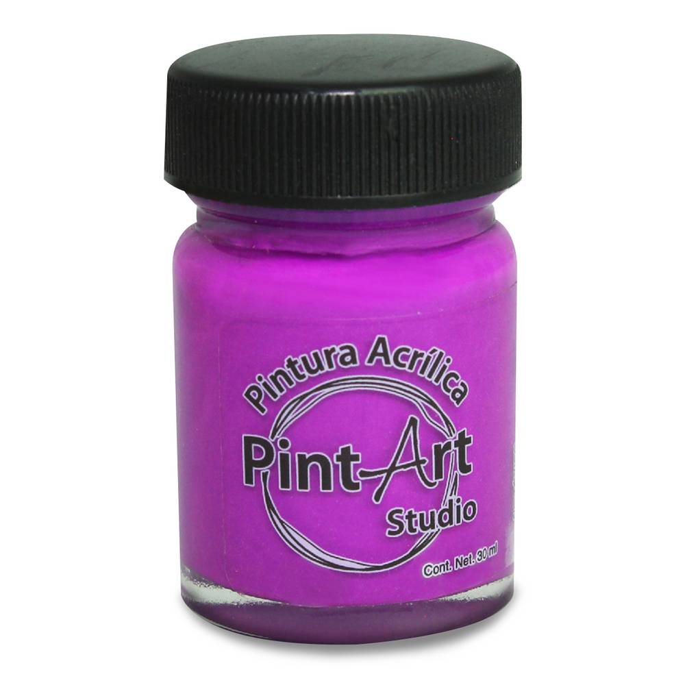 Pintart pintura acrílica (bote 30 ml)