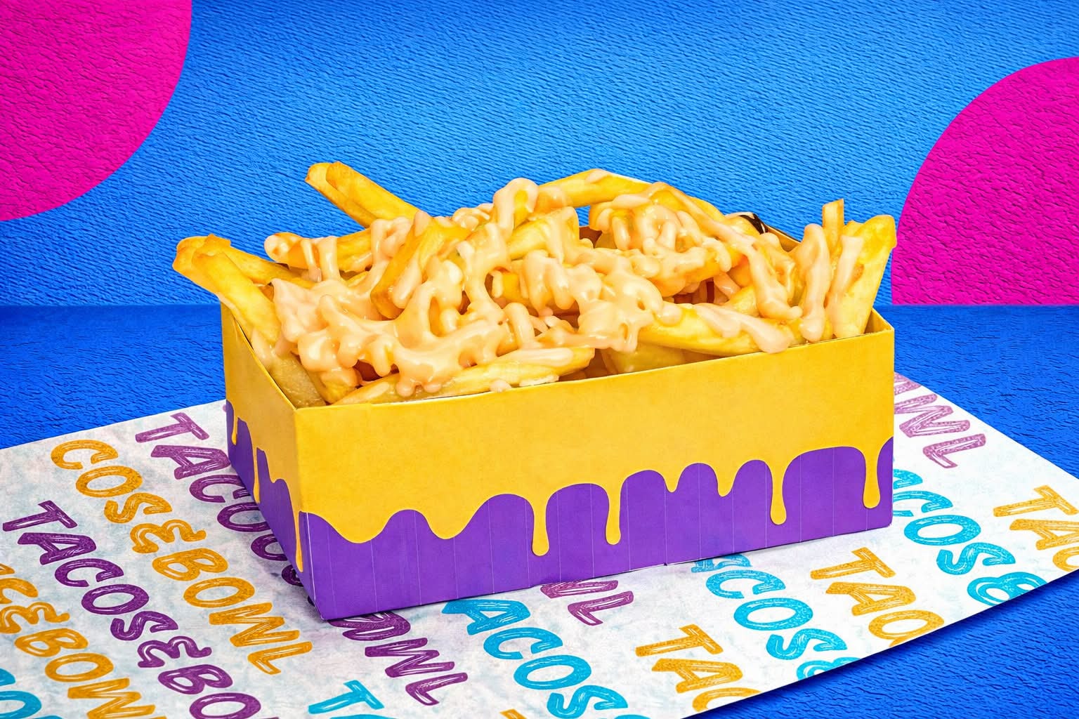 Frites à la Sauce Fromagère 🧀