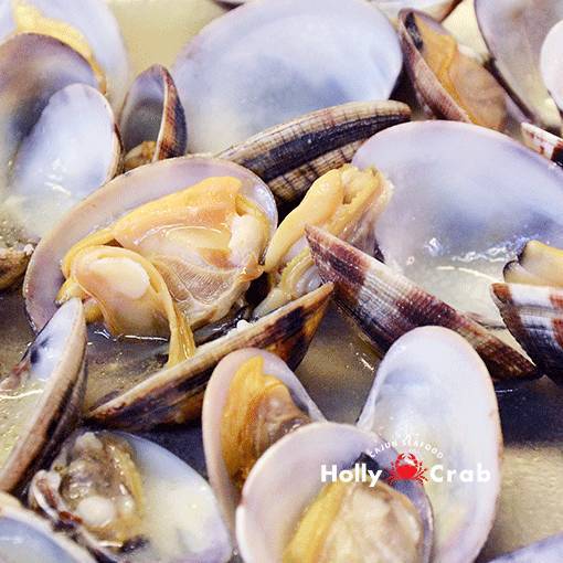 1 Lb Clam