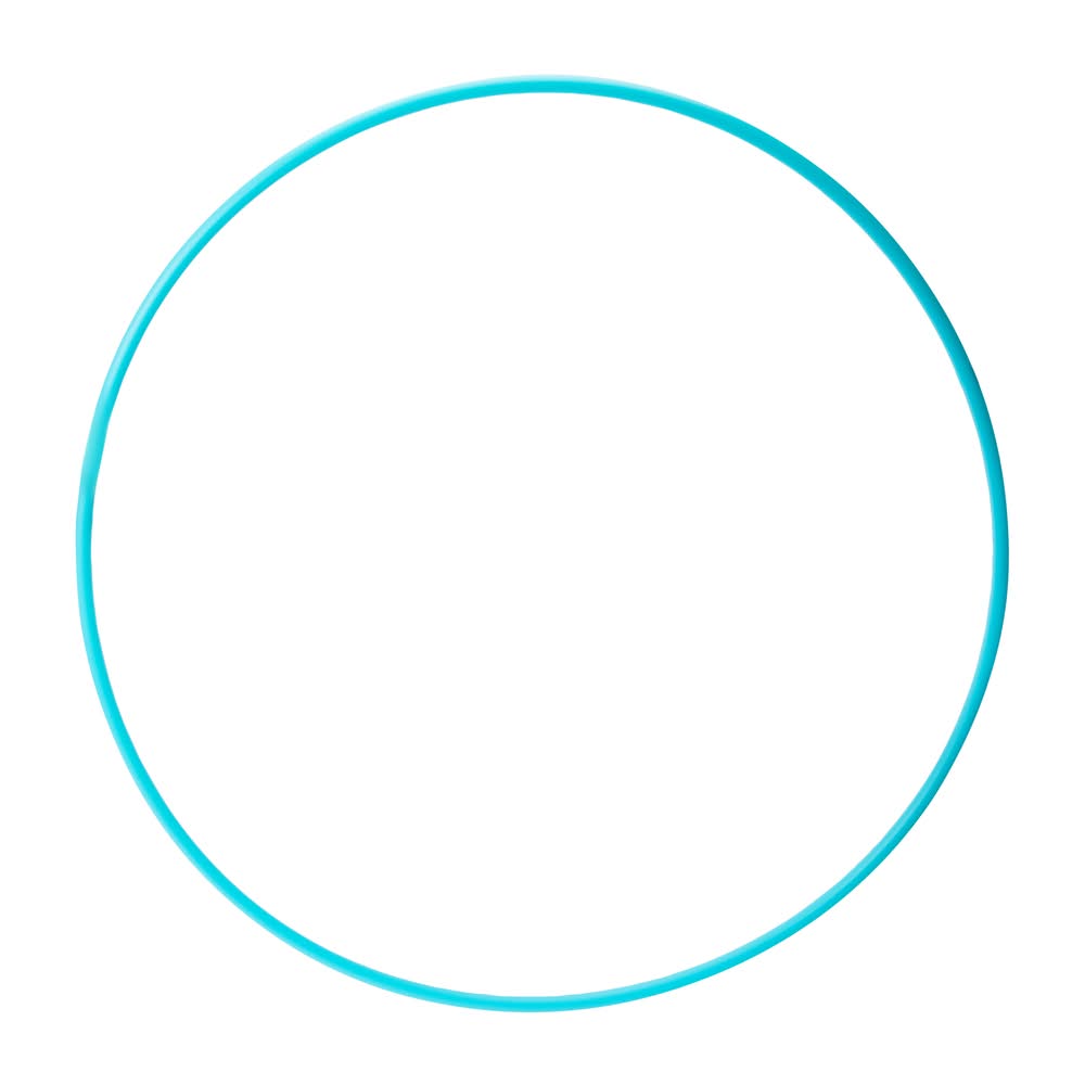 Scented Hula Hoop Toy 22in Blue Berry