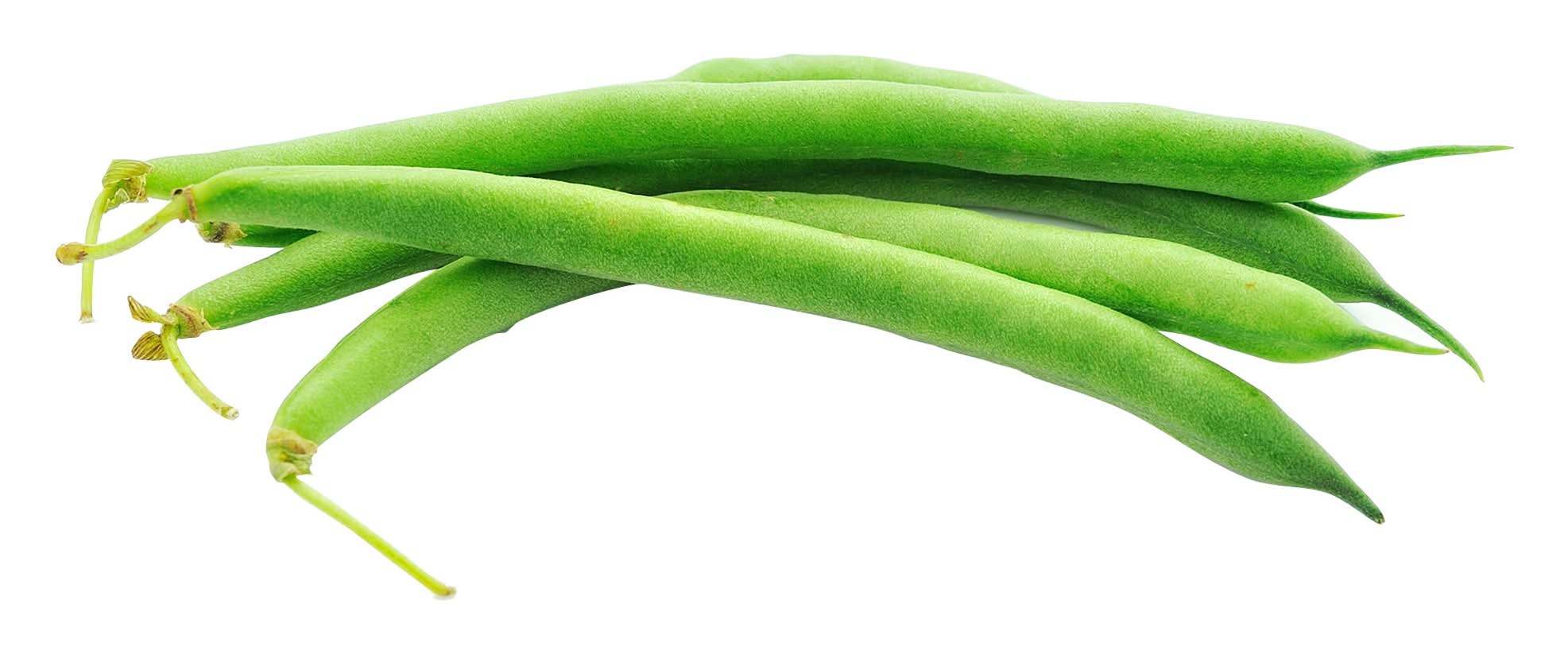 Haricots Verts À La Française, 680 G / Bio Naturae French Green Beans (680g)