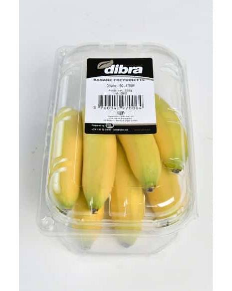 Dibra - Bananes freycinettes (330g)