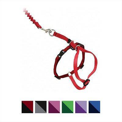 Pet Safe Petsafe Come With Me Kitty Harness & Bungee Cat Leash, Red/Black, Medium