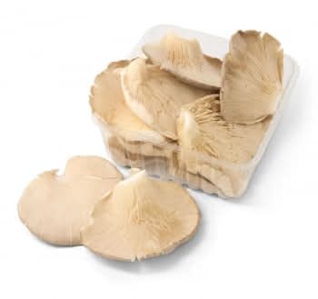 Seta Círculo de Calidad Carrefour El Mercado 400 g aprox.