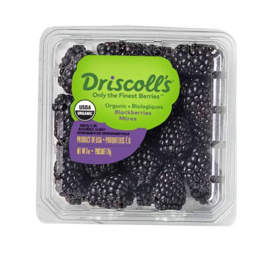 Driscoll's Organic Blackberries