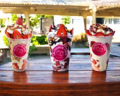 Las Fresas de Coapa