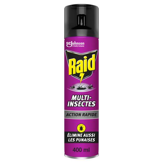 Raid - Aerosol multi insectes (400 ml)