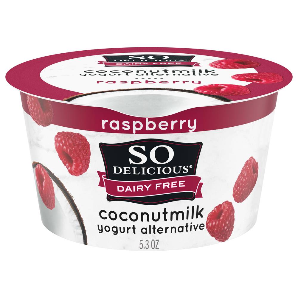 So Delicious Coconutmilk Yogurt Alternative, Raspberry (5.3 oz)