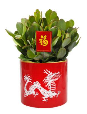 Jade Red Dragon Ceramic 6 Inch - Each