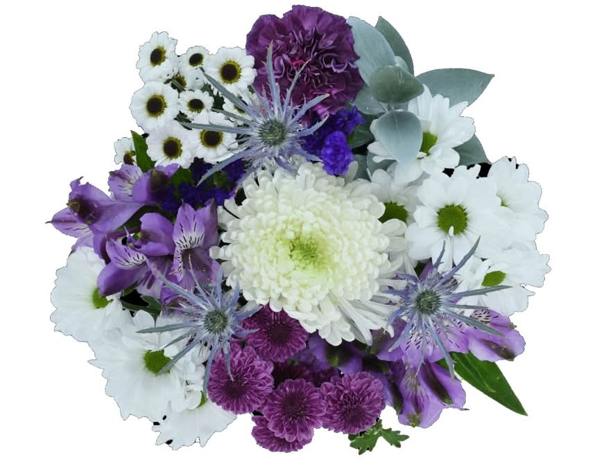 Bloom Haus Brilliance In Bloom Fresh Cut Flower Bouquet