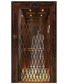 Ghost Elevator Door Cover