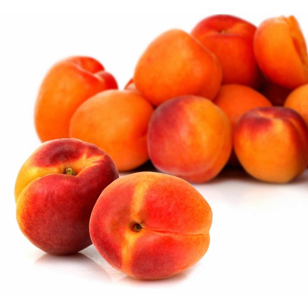 Abricots bio (500g)