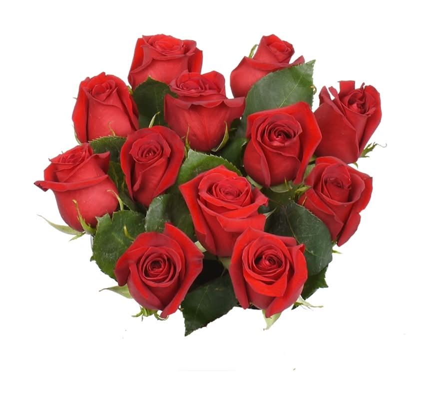 Bloom Haus Red Rose Bunch (12 ct)