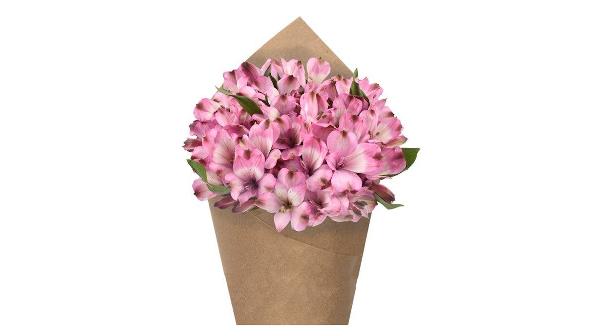 Alstroemeria Bunch - Lavender, 6 stem