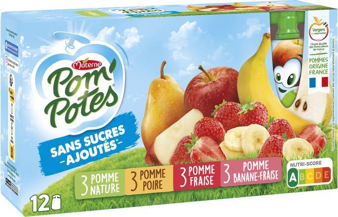 Pom'potes compotes gourdes multivariétés 12x90g - materne - 1080g