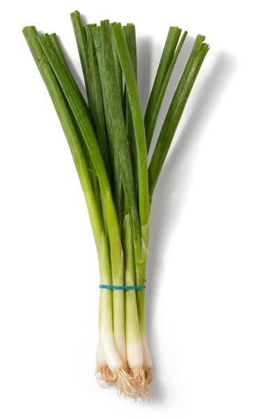 Scallion