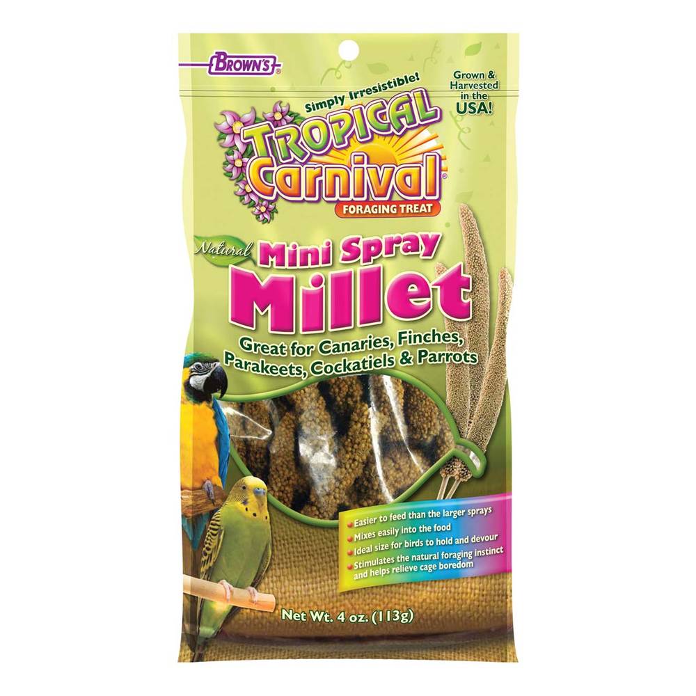 F.M. Brown's Tropical Carnival® Natural Mini Spray Millet, 4 ounces