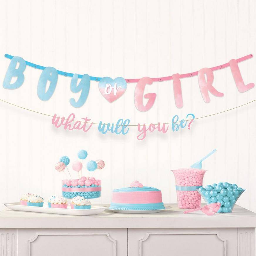 Party City Boy or Girl Gender Reveal Letter Banner Set (2 ct) (pastel/blue/pink)