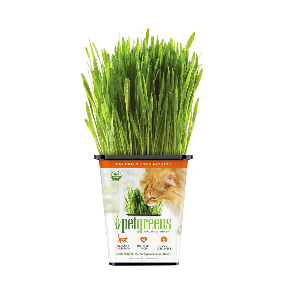 Pet Greens Organic Wheatgrass Cat Food (8 oz)