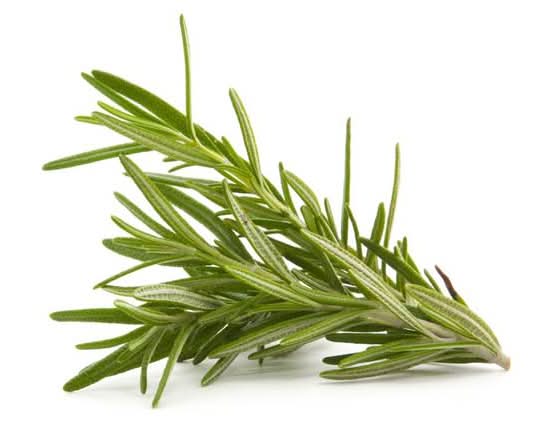 Rosemary 3 Count