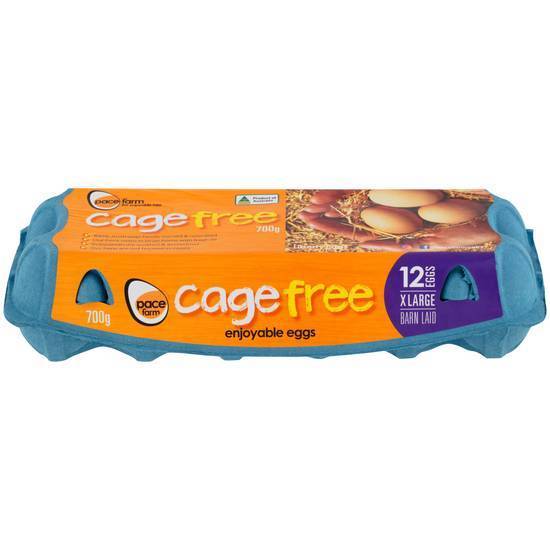 Pace Farm 12 Extra Large Cage Free Eggs (12 Pack) 700g