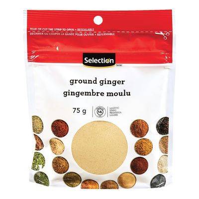 Selection gingembre moulu (75 g) - ground ginger (75 g)