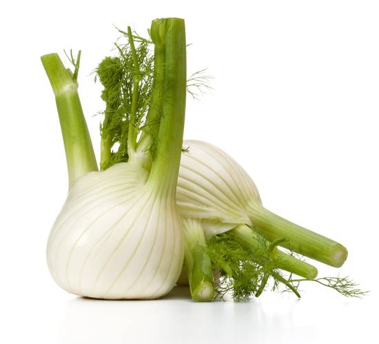 Organic Fennel Bulb