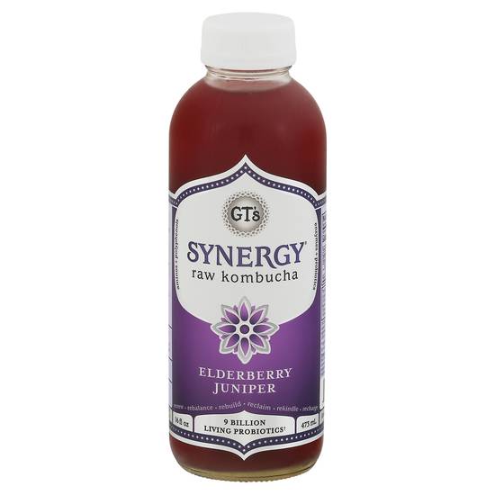 Gt's Synergy Raw Elderberry Juniper Kombucha (16 fl oz)