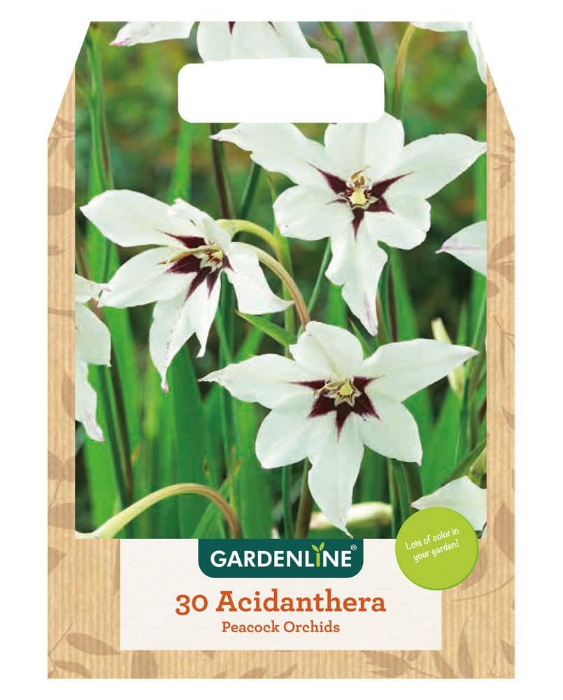 Gardenline Spring Bulbs Assort