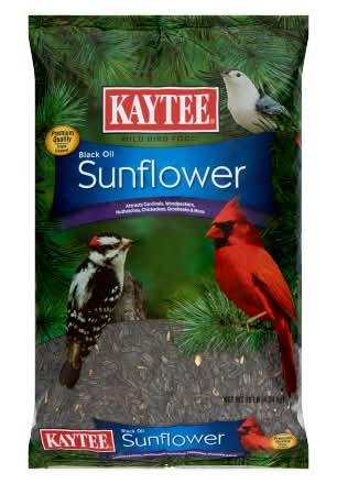 Kaytee Black Oil Sunflower Wild Bird Food (10 lbs)