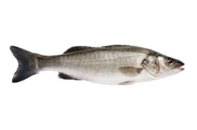 Bronzini Whole Fresh Fish - 1.50 Lb