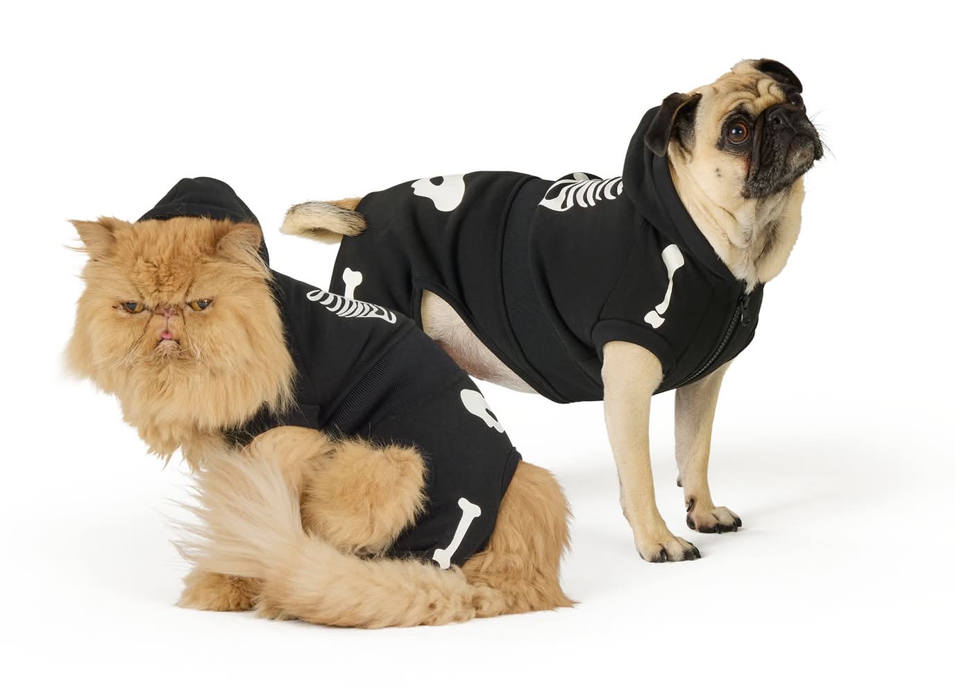 Thrills & Chills® Skeleton Dog & Cat Sweatsuit (Color: Multi Color, Size: Large)