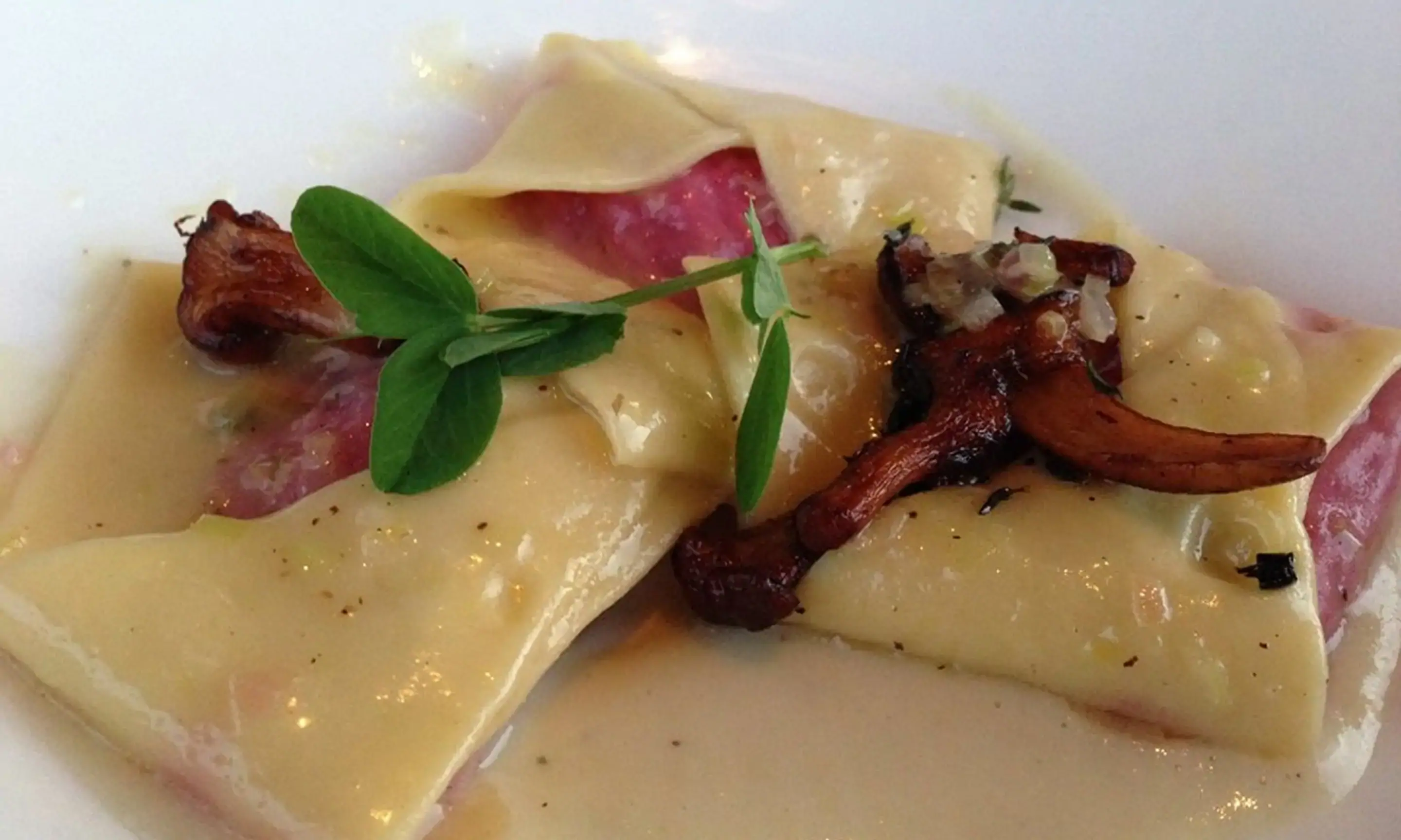 Order Terrapin Restaurant Menu Delivery in Virginia Beach Terrapin Restaurant Prices Uber Eats