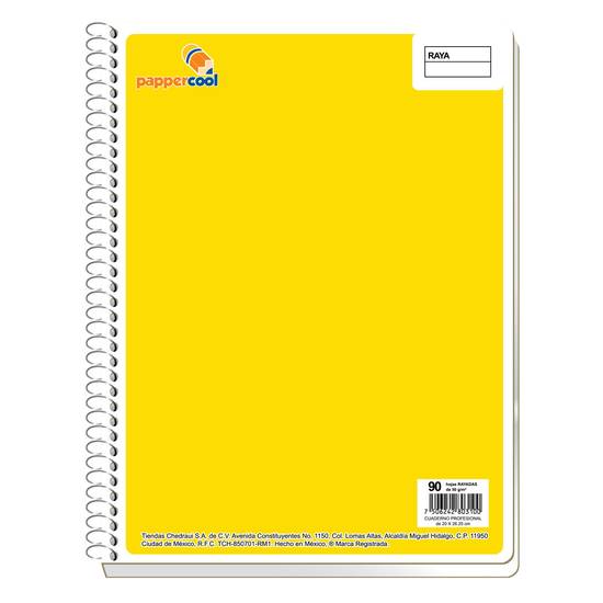 Papper cool cuaderno profesional de raya