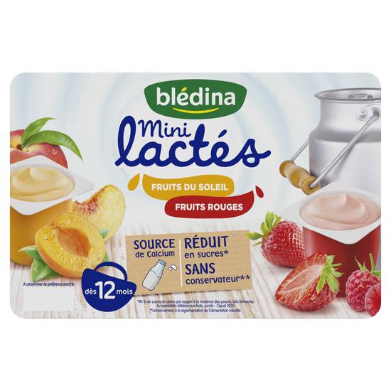 Blédina - Mini lactés fruits rouges ou fruits du soleil dès 12 mois (12 pièces)