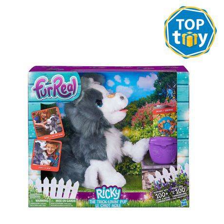 Furreal pets sale ricky