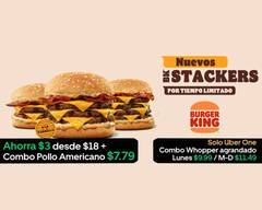 Burger King Vista del Rio
