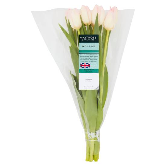 Waitrose & Partners Pastel Tulips