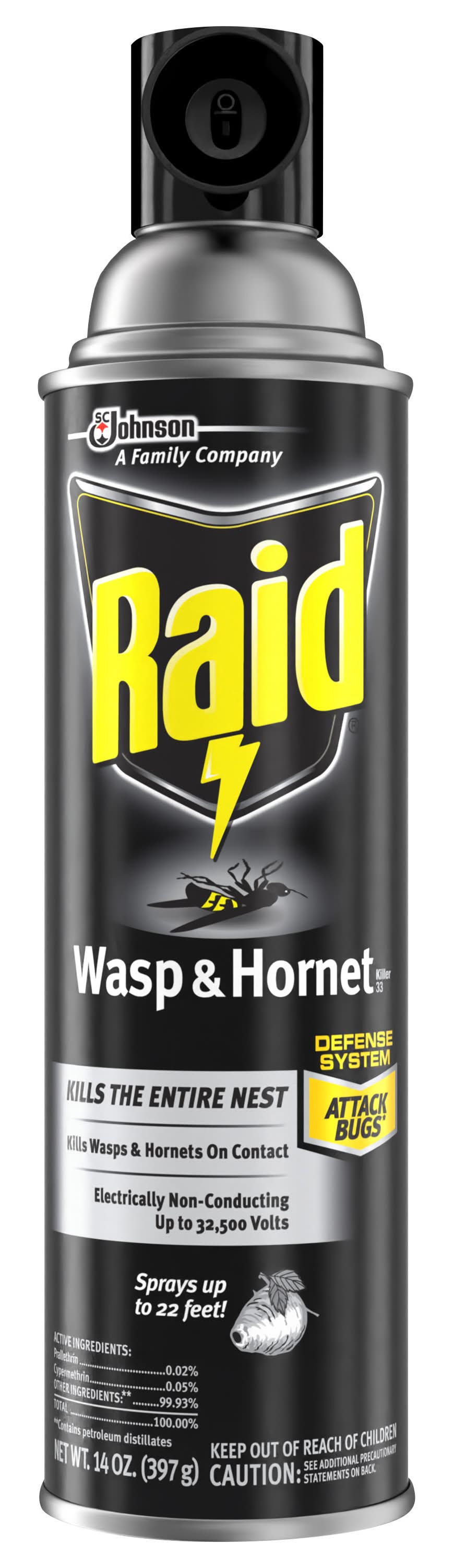 Raid Wasp & Hornet Killer Bug Spray (14 oz)