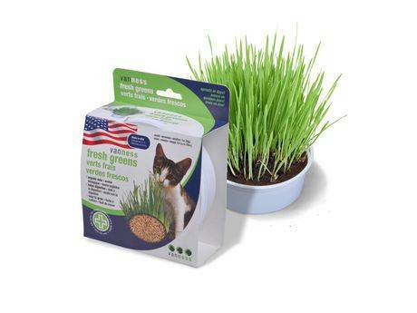 Van Ness Oat Garden Kit (450 g)