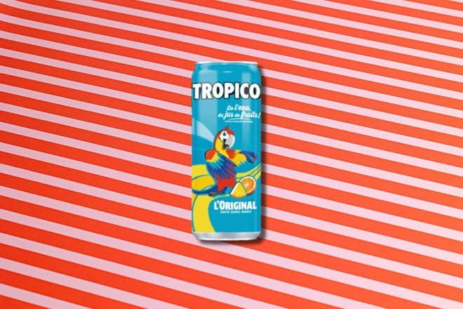🌴 Oasis Tropical