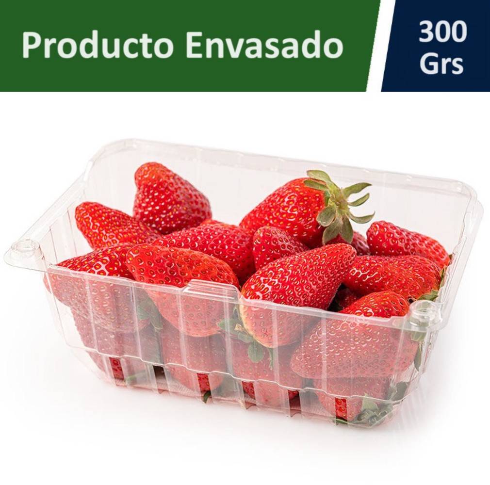 Frutillas (300 g)