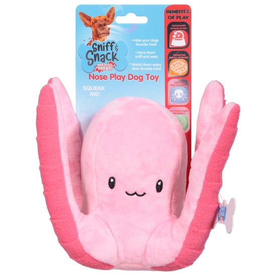 Sniff & Snack Nose Play Dog Toy