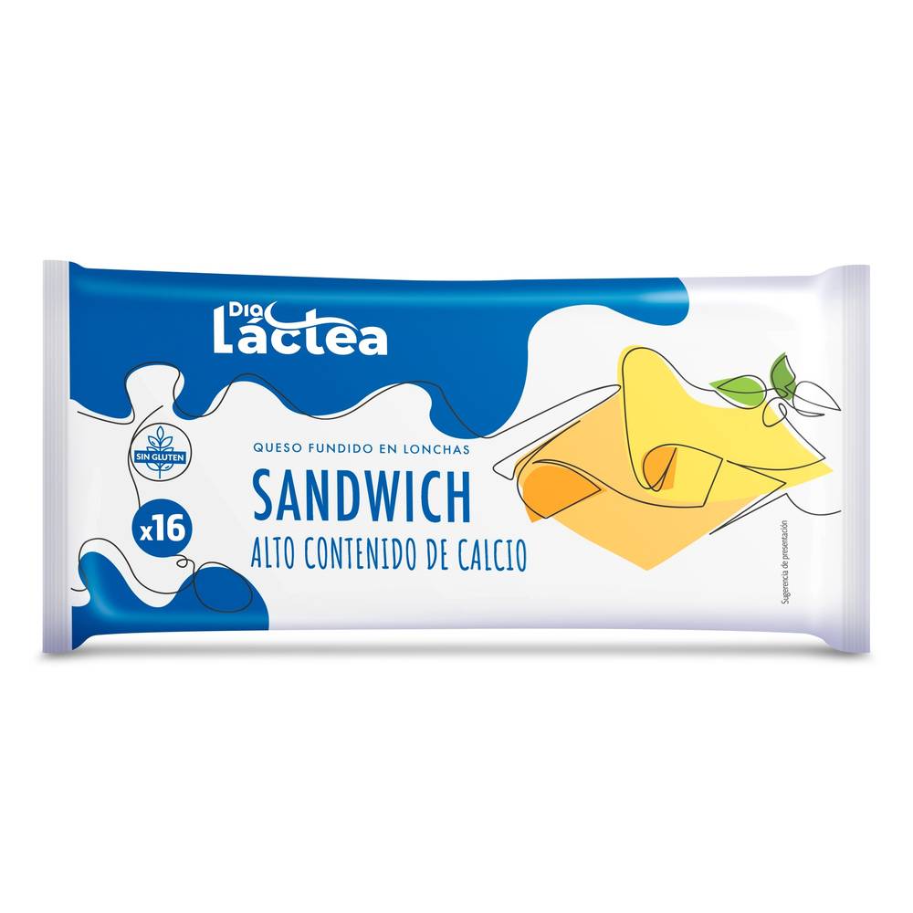 Queso Fundido Sándwich Dia Láctea Bolsa 300 G