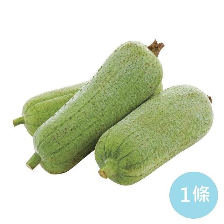 (e)台灣絲瓜-450g+-10%/條#759897